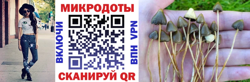 Псилоцибиновые грибы Magic Shrooms  как найти наркотики  Мезень 